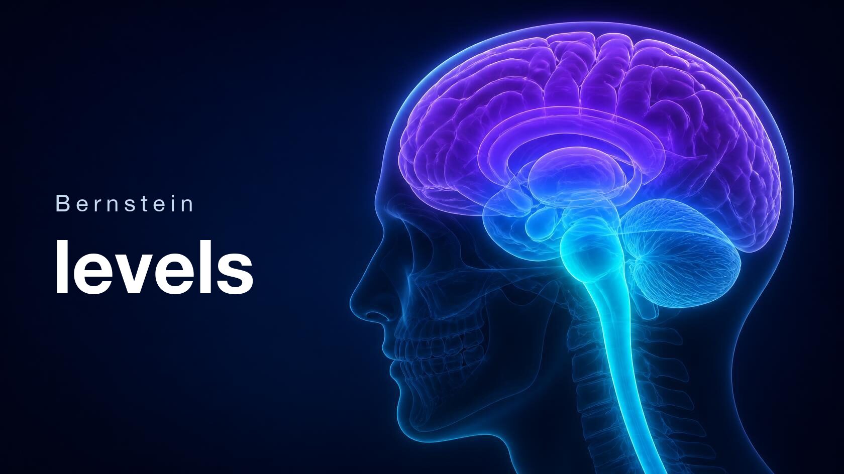 頭部のレントゲン様イラスト。脳幹・脊髄のシアンから大脳皮質のバイオレットへ色が変化し、運動制御の階層を表す（Bernstein levels）