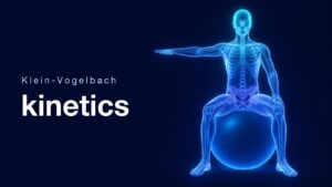 バランスボールに座り側方へ腕を伸ばす半透明の人体イラスト（Klein-Vogelbach kinetics）